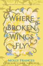 Where Broken Wings Fly