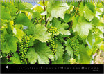 Der Weinkalender 2027, DIN A3 - ein Fotokalender