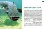 Welse - Giganten unserer Gewässer