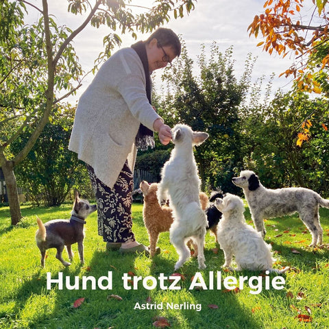 Hund trotz Allergie