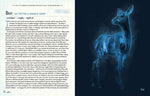 The Ultimate Wizarding World Guide to Patronuses