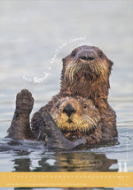 Tierisch cool! 2027