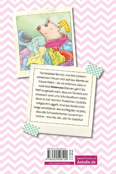 Schwesterherzen 2: Auf Klassenfahrt