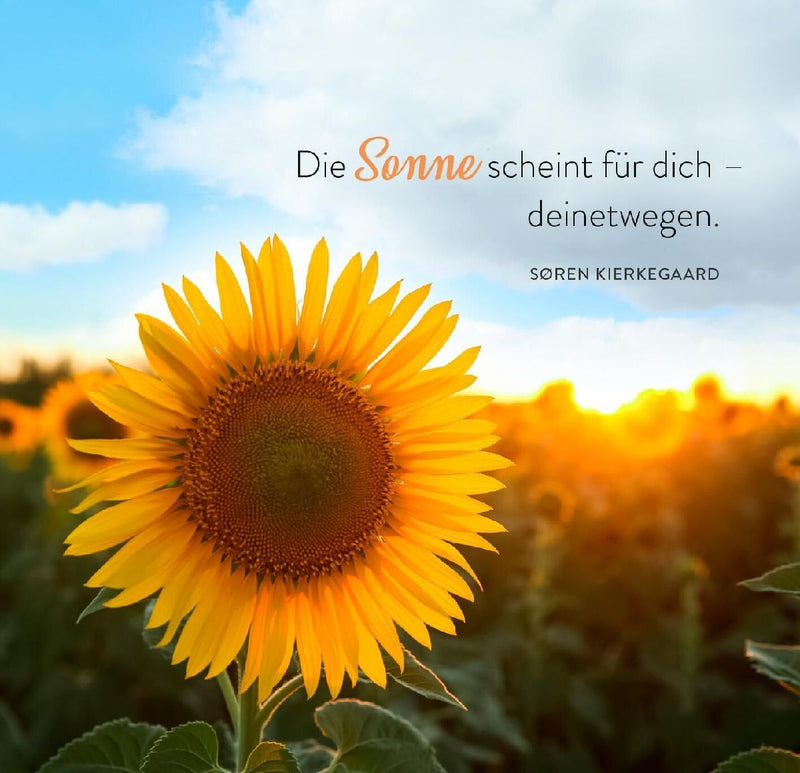 365 Tage Sonne im Herzen (Innenansicht)