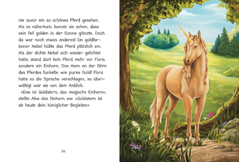 Goldstern. Traumpferd mit Hindernissen (Innenansicht)