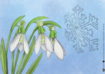 Wie der Schnee zu seiner Farbe kam. Kamishibai Bildkartenset. (Innenansicht)