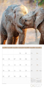 Elefanten Kalender 2027 - 30x30 - Art12 (Innenansicht)