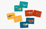 Dinos & ihre Knochen (Innenansicht)