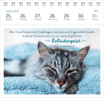 Postkartenkalender Katzenweisheiten 2027