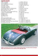 Austin Healey (Innenansicht)