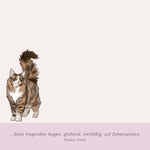 Zettelkästchen - I love cats (Innenansicht)