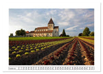 Bodensee 2026 (Wandkalender 2026 DIN A3 quer), CALVENDO Monatskalender