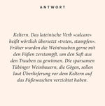 Wein-Quiz (Innenansicht)