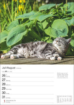 Katzen Wochenplaner 2027 - 53 faszinierende Fotografien