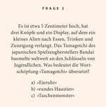 90er-Jahre-Quiz (Innenansicht)