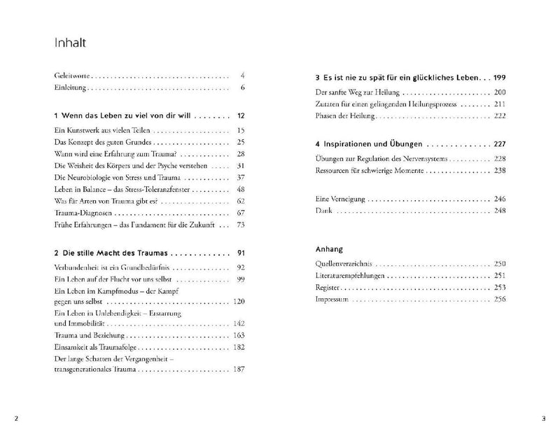 Bin ich traumatisiert? (Innenansicht)