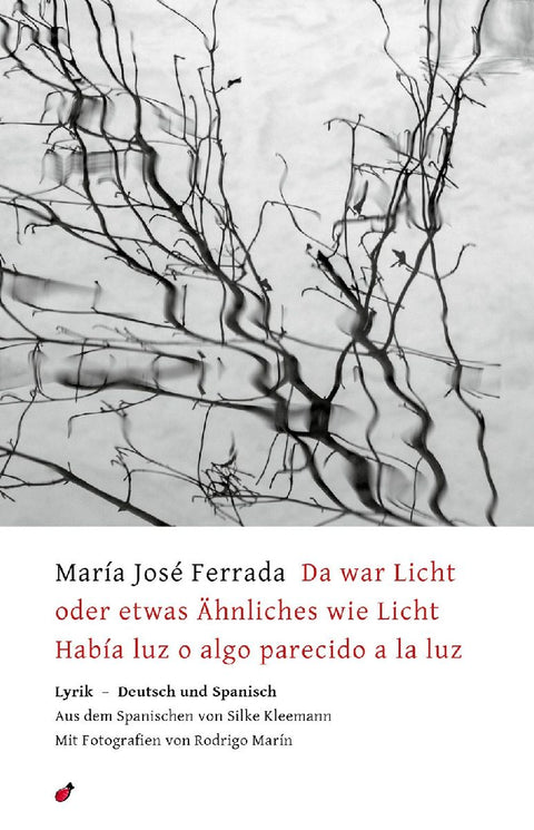 Da war Licht oder etwas Ähnliches wie Licht / Había luz o algo parecido a la luz