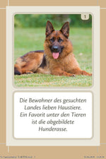 Länderrallye (Innenansicht)