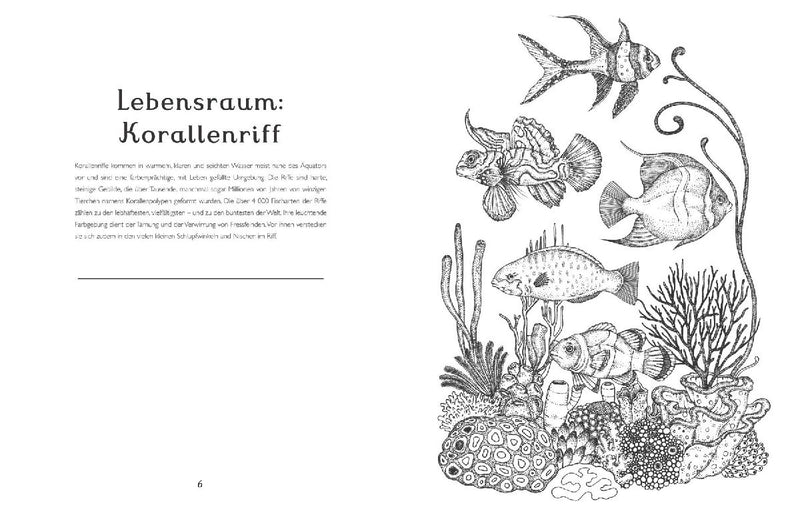 Das Museum der Tiere. Mein Malbuch (Innenansicht)