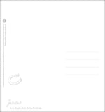 Pferde Postkartenkalender 2027 - Starke Freunde