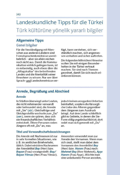 PONS Basiswörterbuch Türkisch