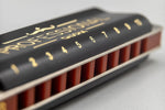 Professional Blues Harmonica in E (incl. case and cleaning cloth) (Innenansicht)