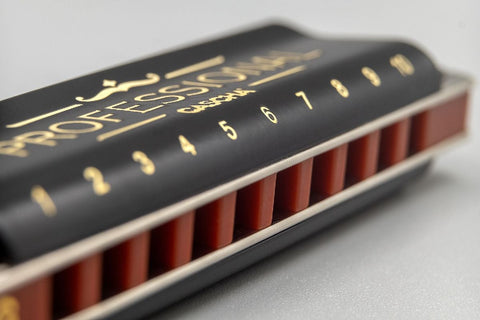 Professional Blues Harmonica in E (incl. case and cleaning cloth)