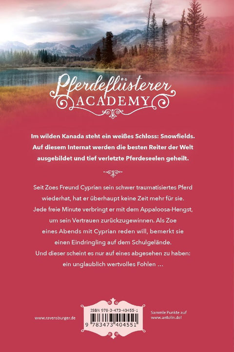 Pferdeflüsterer-Academy, Band 6: Calypsos Fohlen