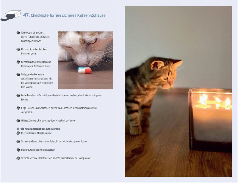 101 Dinge, die man wissen muss, wenn ein Katzenbaby einzieht (Innenansicht)