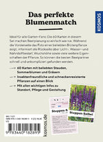 Lilie liebt Sonnenhut