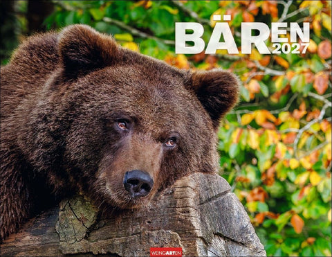 Bären Kalender 2027