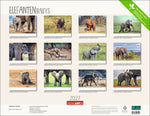 Elefantenbabys Kalender 2027