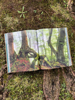 THE WOODS (Innenansicht)