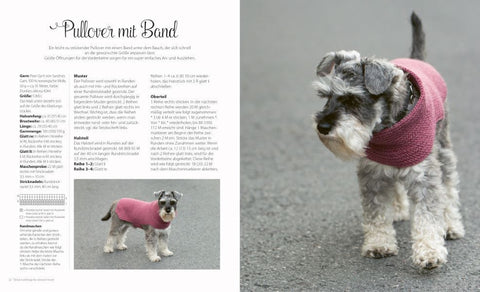 Strick-Lieblinge für deinen Hund