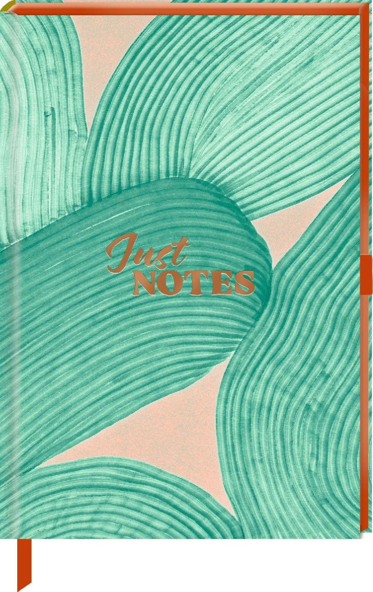 Notizbuch DIN A5 - Just Notes (BOWS)