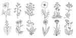 Wundervolle Wildblumen (Innenansicht)