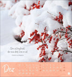 Tage voller Glück Postkartenkalender 2027