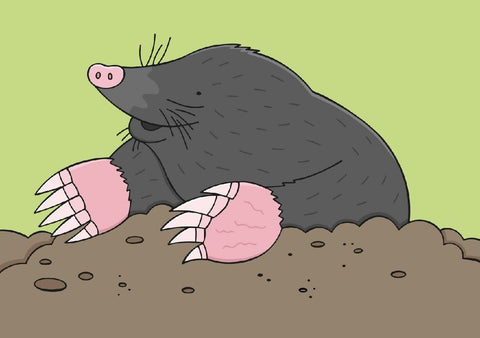 Tiere
