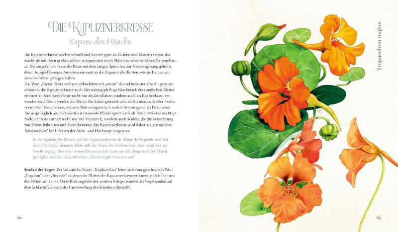 Vom Zauber der Blumen (Innenansicht)
