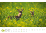 Tierwelt Wald Kalender 2027 (Innenansicht)