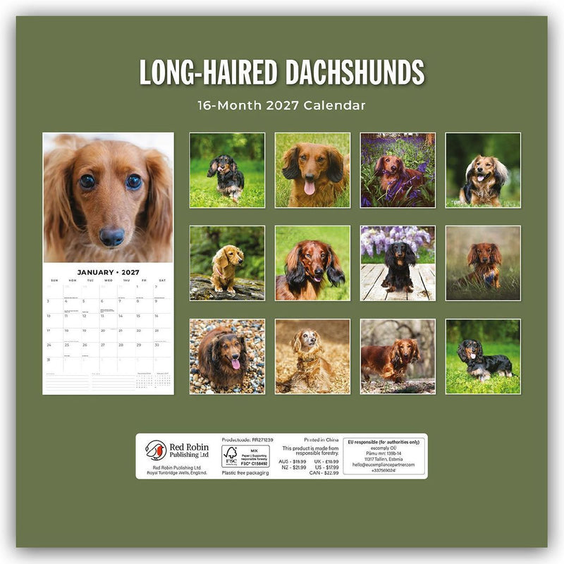 Long-Haired Dachshunds - Langhaardackel 2027 - 16-Monatskalender (Rückseite)
