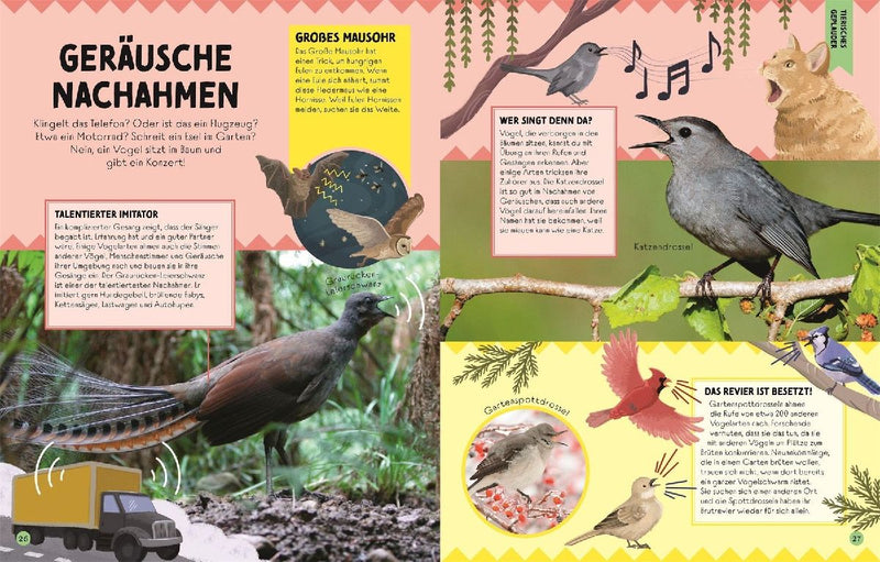 Die Sprache der Tiere (Innenansicht)
