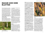 Die siehst du! Bäume