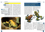 Der schreckliche Pfeilgiftfrosch (Innenansicht)