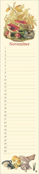 Edith Holden: Geburtstagskalender Langplaner (Innenansicht)