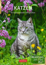 Katzen Wochenplaner 2027 - 53 faszinierende Fotografien