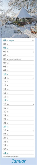 times&more Garten Langplaner 2027