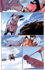 Nightwing (Innenansicht)