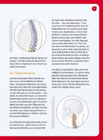 Der Rücken-Doc: Spinalkanalstenose