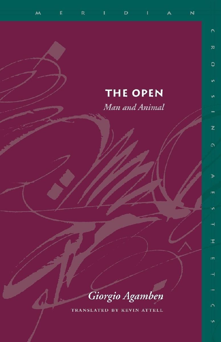 The Open